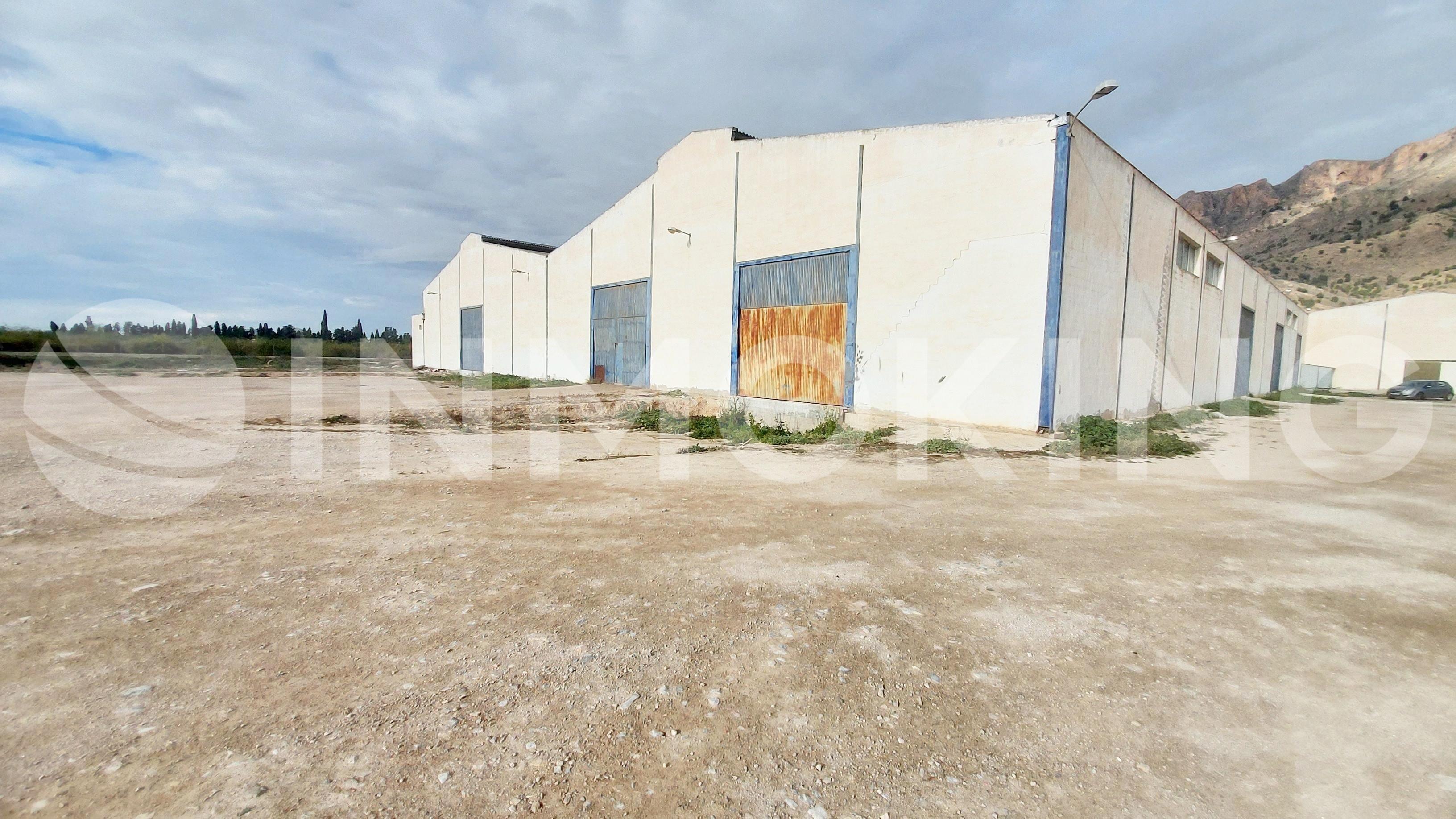 Foto de la propiedad Nave Industrial en La Aparecida (Orihuela)_9.705m2