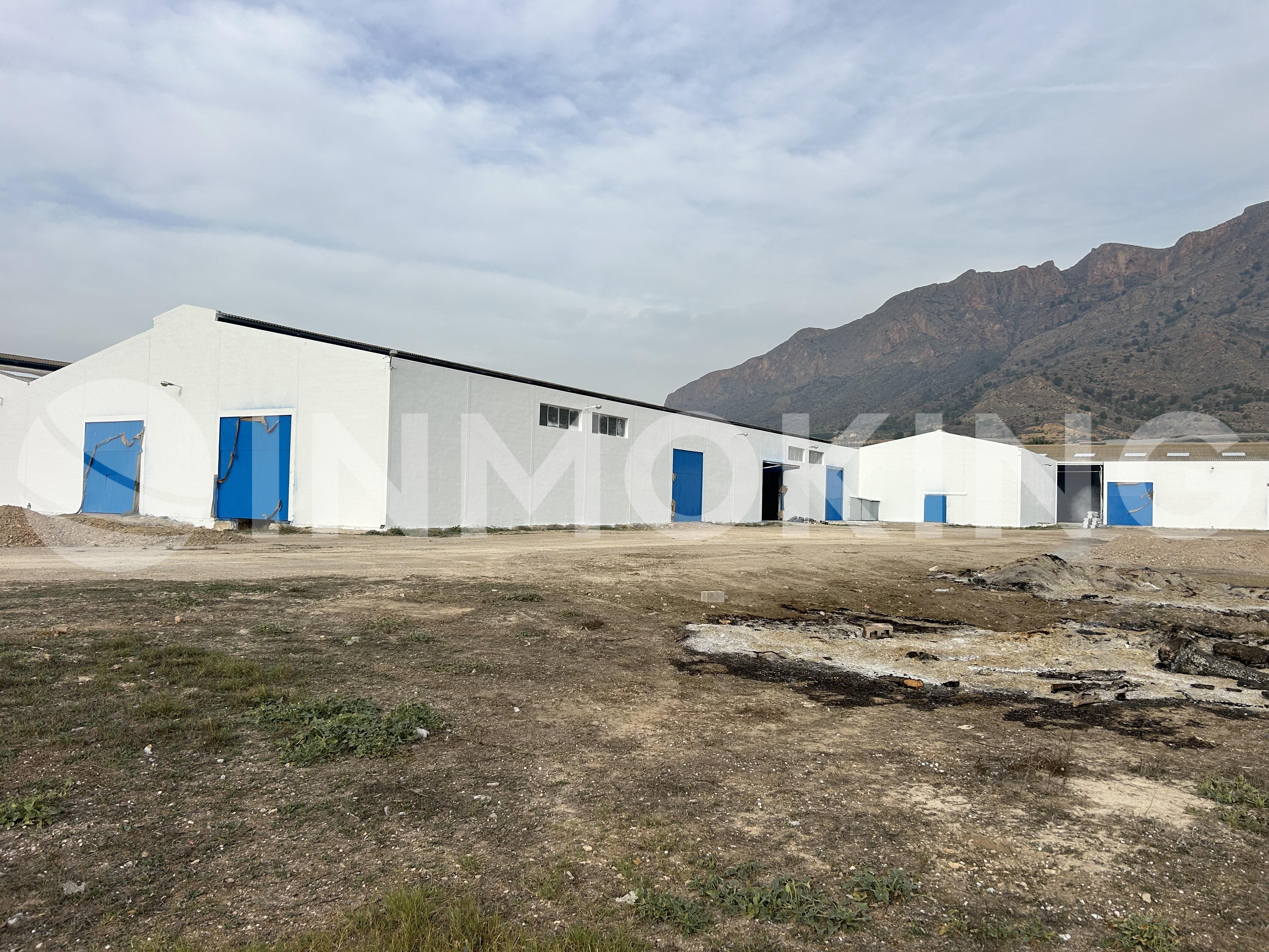 Foto de la propiedad Nave Industrial en La Aparecida (Orihuela)