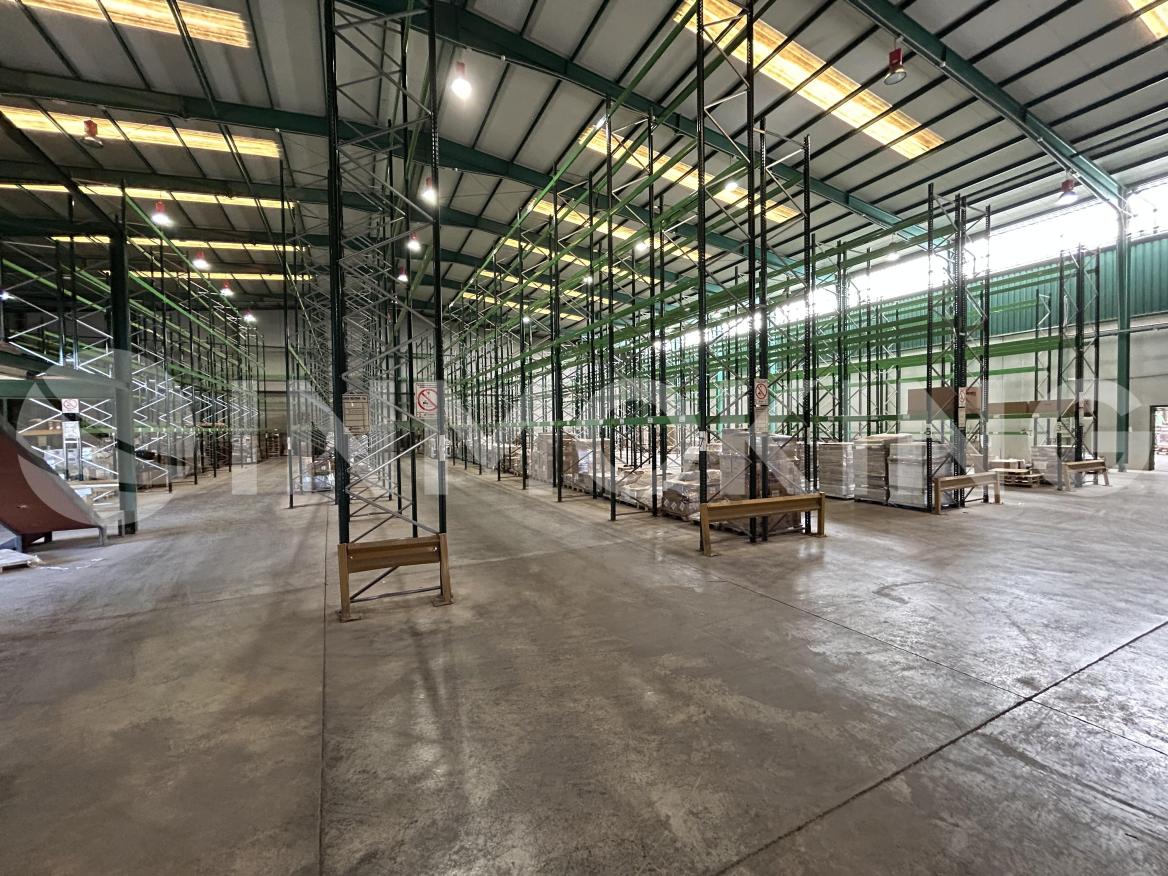 Foto de la propiedad  Nave Logística en P.I Cabezo Cortado (Murcia)